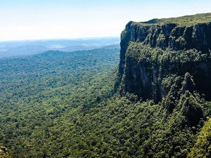 Pacáas Novos (Foto: Eco/ Divulgação) Pacáas Novos (Foto: Eco/ Divulgação)