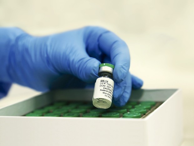 Testes da vacina devem ser finalizados no final de 2017, dizem pesquisadores (Foto: Gutemberg Brito – IOC/Fiocruz)