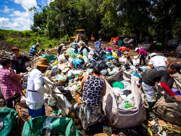 Catadores dizem que tiram em mdia R$ 300 por ms vendendo o material reciclvel (Foto: Jonathan Lins/G1)