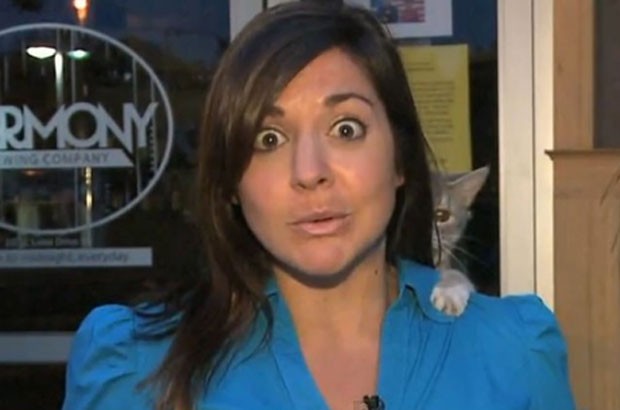 Em julho, Nicole DiDonato, a repórter do canal Fox 17 dos Estados Unidos, foi interrompida por um gato durante uma transmissão (Foto: Reprodução)