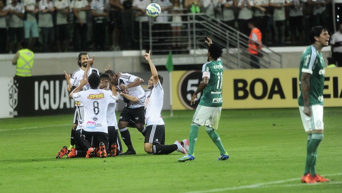 Palmeiras x Ponte Preta Brasileiro (Foto: Marcos Ribolli)