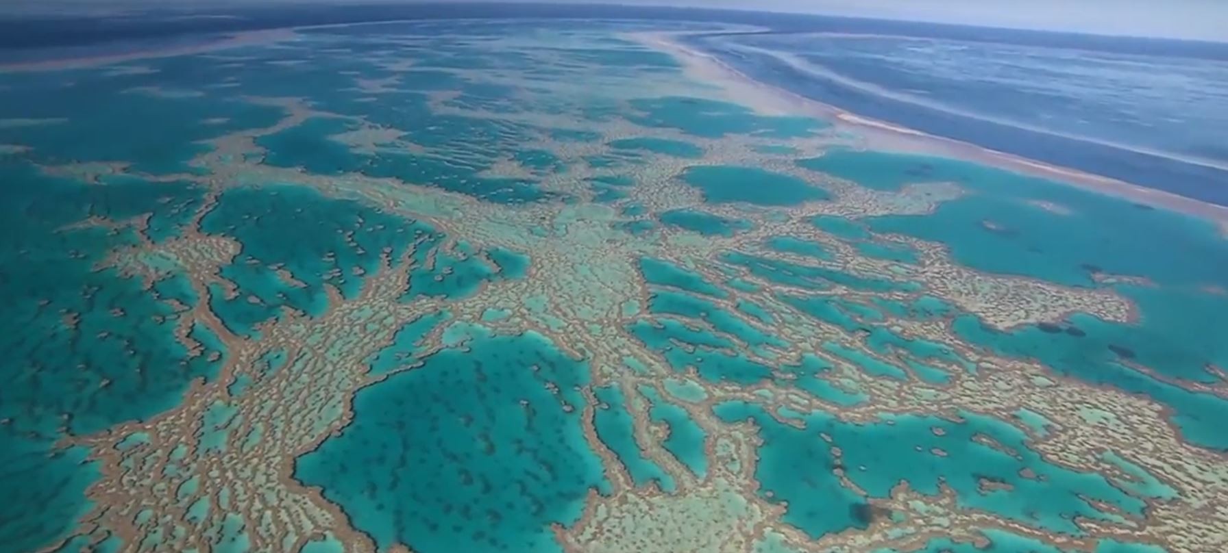 Grande Barreira Barreira de Corais australiana apresenta sinais de recuperação. (Foto: Reprodução / YouTube)