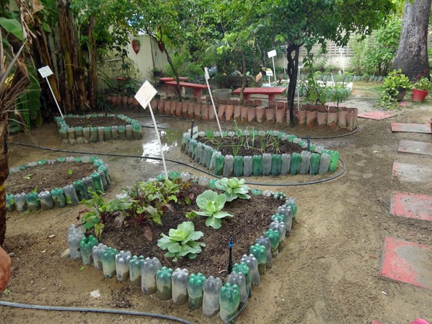 Escola Cecília Meirelles tem horta mantida com ajuda de alunos. (Foto: Katherine Coutinho/G1)