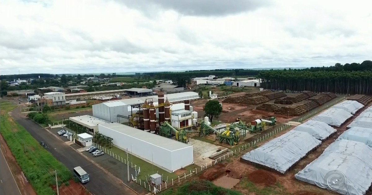 G1 - Lençóis Paulista inova com produção sustentável de papel a partir ...