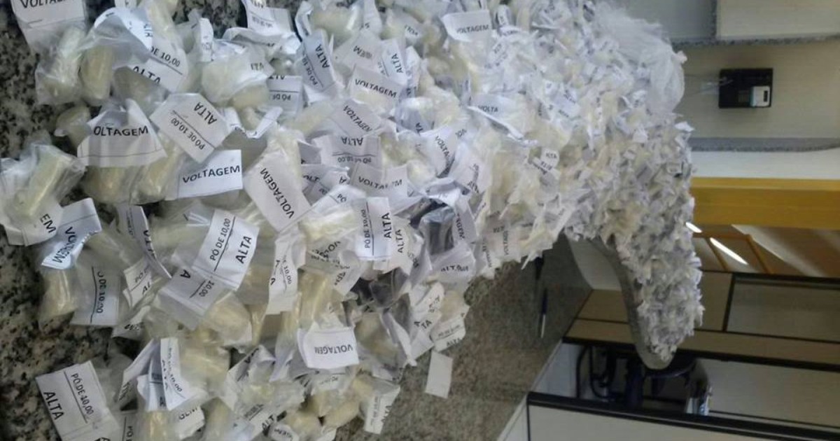 Mulher é presa com 2.800 cápsulas de cocaína em Teresópolis, no RJ - Globo.com