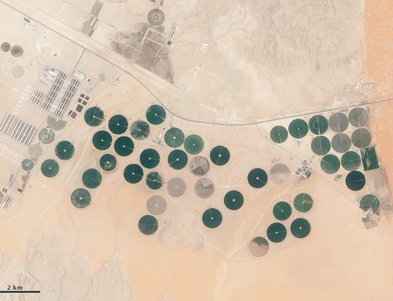 Imagem de satélite mostra produção agrícola no meio do deserto na Arábia Saudita (Foto: Nasa)