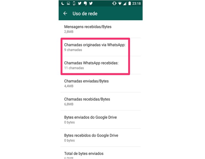 Veja o número de ligações feitas no WhatsApp (Foto: Reprodução/Lucas Mendes)