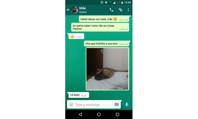 Como Criar Conversas Falsas Do Whatsapp Com O Yazzy Simulator Notícias Techtudo 4063