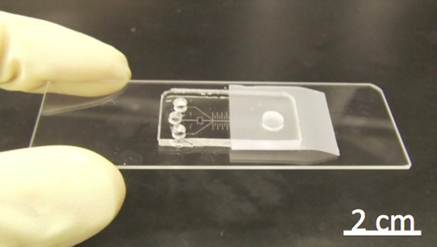 Microchip criado por cientistas japoneses para detectar RNA no sangue e fluidos corporais (Foto: Divulgação/Riken)