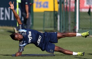 Kelvin Palmeiras (Foto: Cesar Greco/Ag Palmeiras/Divulgação)