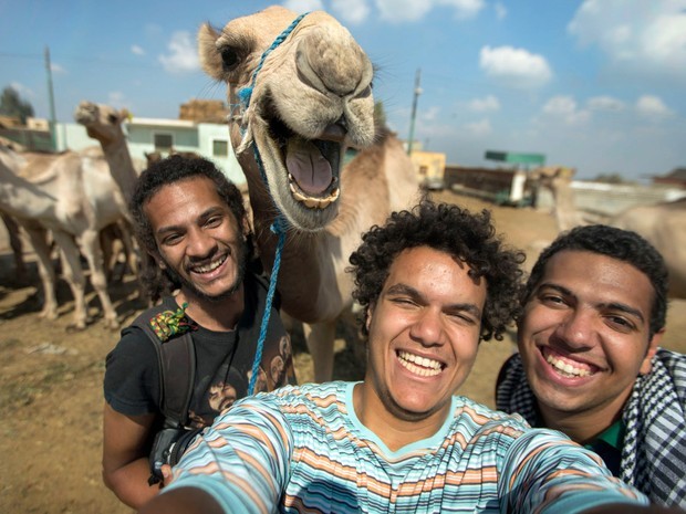 Foto tirada em setembro de 2014 mostra os amigos Maissra Sallah, Hossam Antikka e Karim Abdelaziz tirando uma selfie com dromedário em Giza, no Egito (Foto: Hossam Antikka/Caters News)