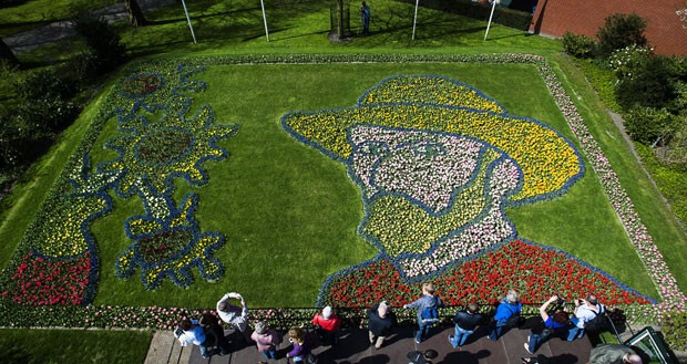 Jardim de flores exibe dezenas de tulipas formando o retrato de Van Gogh (Foto: Remko de Waal/ANP/AFP)