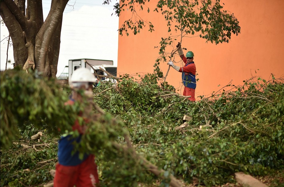 Operação de limpeza em escolas públicas do DF começa nesta terça