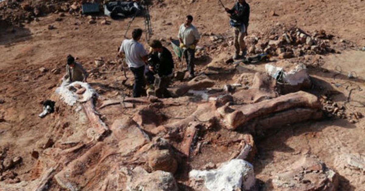 G1 – Encuentran huesos del dinosaurio más grande jamás descubierto en Argentina