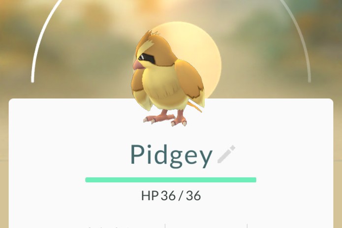 Pidgey em Pokémon Go (Foto: Reprodução/Felipe Vinha)