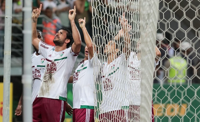 Fred gol Palmeiras x Fluminense (Foto: RODRIGO GAZZANEL - Agência Estado)
