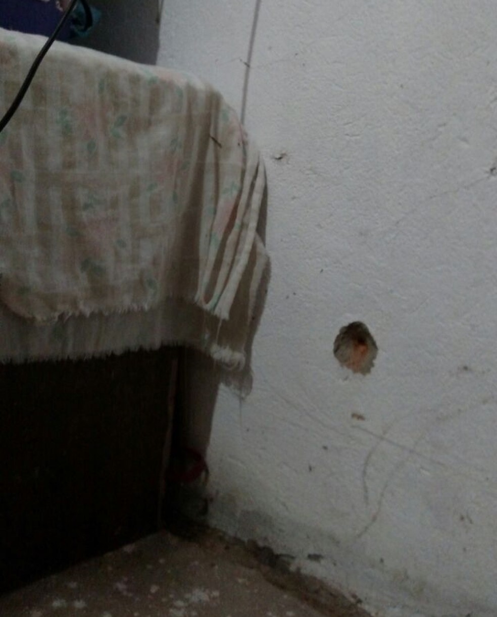 Cômodos da casa aposentada foram perfurados por disparos de arma de fogo. (Foto: Douglas Pinto/TV Mirante)