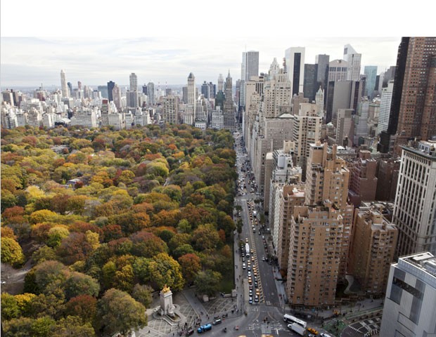Vista do Central Park (Foto: NYC &amp; Co/Divulgação)