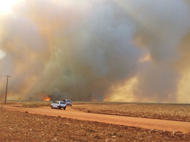 Bombeiros de Nova Mutum tentam controlar as chamas na lavoura (Foto: Mutum Notcias)
