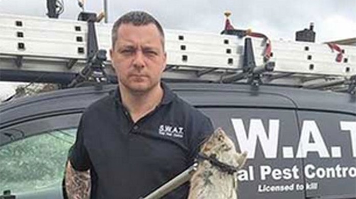 G1 - 'Rato monstruoso' é capturado em propriedade na Inglaterra