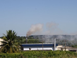 Fumaça indica a incineração dos bovinos abatidos em frigorifico. (Foto: Leandro J. Nascimento/G1)