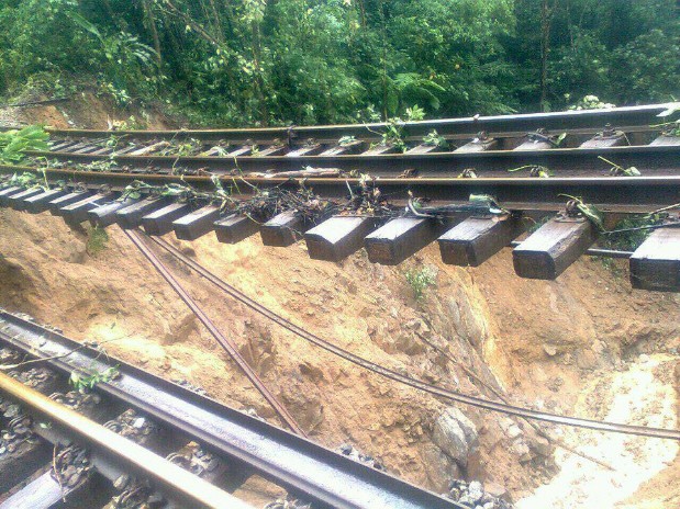 Ferrovia da Serra do Mar (Foto: Rogério Pinto dos Santos/Arquivo Pessoal)