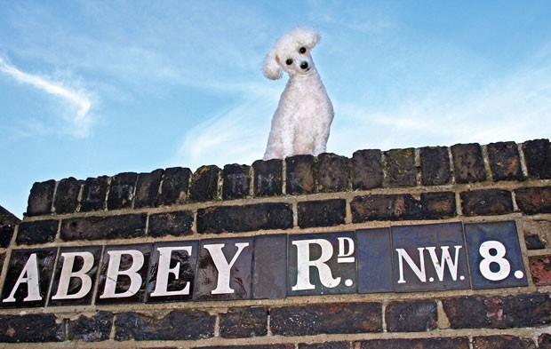 Peggy Lee na Abbey Road (Foto: Divulgação/Peggy Lee Loves London)