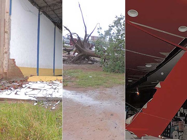 Chuva e ventos fortes derrubam árvores, muro e teto de loja no oeste da Bahia (Foto: Edivaldo Braga/Blogbraga)