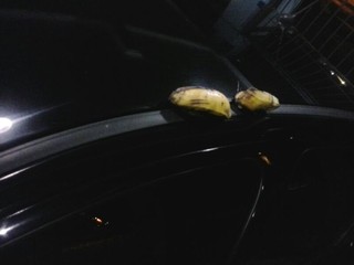 Árbitro fotografou bananas em seu carro e anexou imagens à súmula do jogo (Foto: Márcio Chagas da Silva/Arquivo Pessoal)