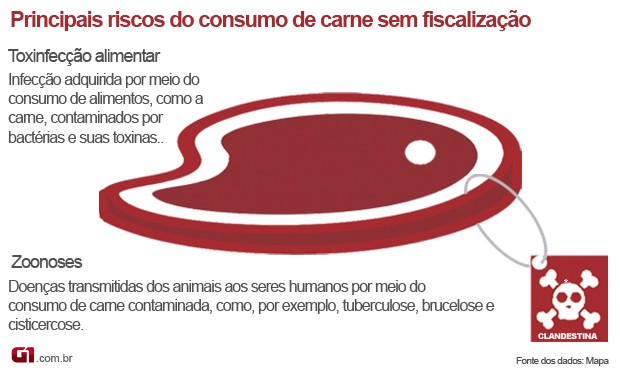 Infográfico sobre os riscos do consumo de carne sem inspeção (Foto: Anderson Viegas/Do G1 MS)