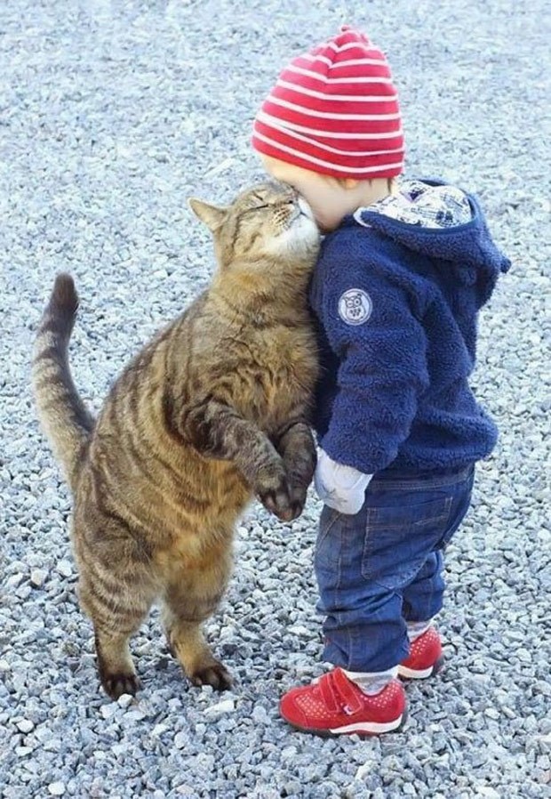 Bebê e gato fizeram sucesso nas redes sociais com 'momento carinhoso' (Foto: Reprodução/Reddit/John0019) Bebê e gato fizeram sucesso nas redes sociais com 'momento carinhoso' (Foto: Reprodução/Reddit/John0019)