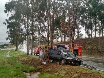 Carro batido em eucalipto em rodovia que corta o Distrito Federal (Foto: Corpo de Bombeiros DF/Divulgação)