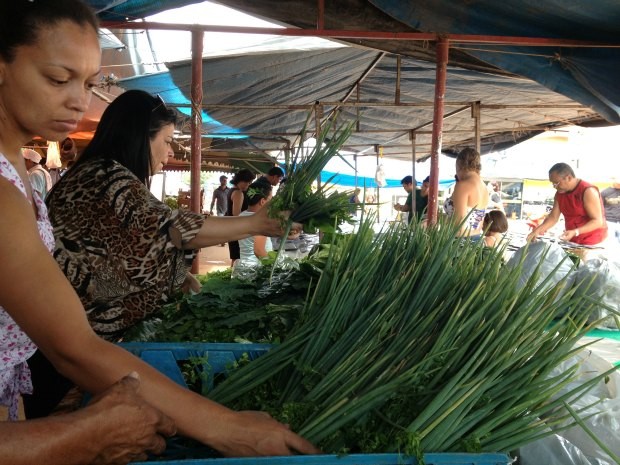 As hortaliças estão entre os produtos mais procurados nas feiras pelos consumidores (Foto: Ivanete Damasceno/G1)