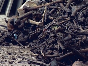 Retirada de ossada de cemitério de São João del Rei para incineração (Foto: Reprodução/TV Integração) Retirada de ossada de cemitério de São João del Rei para incineração (Foto: Reprodução/TV Integração)