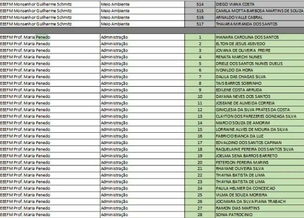 Lista de aprovados em cursos técnicos de nível médio da Sedu-ES. Captura de tela feita às 18h20, já sem o nome inusitado (Foto: Reprodução/ Internet)