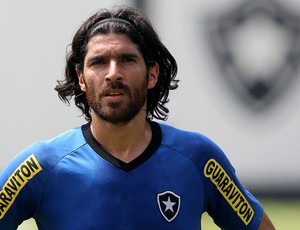 loco abreu botafogo treino (Foto: Satiro Sodré / Agif)