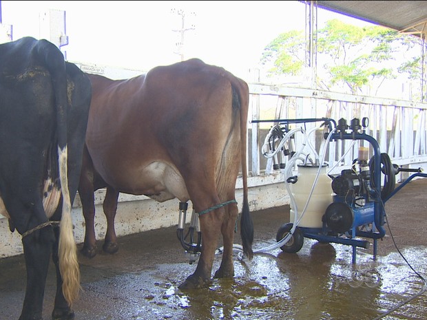 Sistema criado pela Embrapa está em fase de implantação em Rondônia (Foto: TV Rondônia/Reprodução)