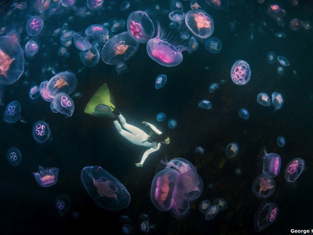 Mergulhadora nada com medusas-da-lua na foto de George Karbus. A imagem ficou em primeiro lugar na categoria "Under Exposed". (Foto: George Karbus)