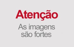 Festival Incentiva Chineses A Comer Carne De Cachorro Imagens Fortes Mundo G1