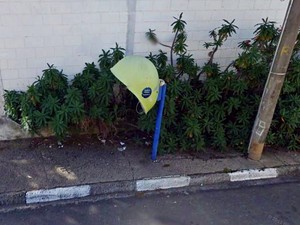 Imagem registrada pelo Google Street View, em 2001, mostra que a planta já tinha se espalhado pela calçada, mas ainda não atrapalhava o uso do orelhão (Foto: Reprodução/Google Street View)