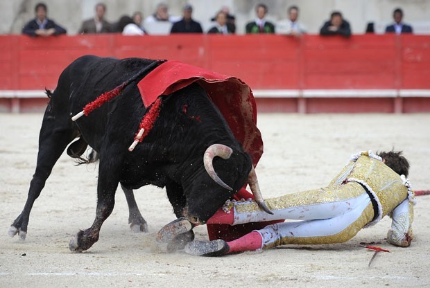 No domingo (19), outro toureiro, o francês Juan Leal, tinha sido chifrado durante uma tourada (Foto: Pascal Guyot/AFP)