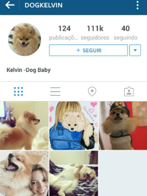 Instagram do 'Dog Kelvin' já conta com 111 mil seguidores (Foto: Divulgação/Instagram)