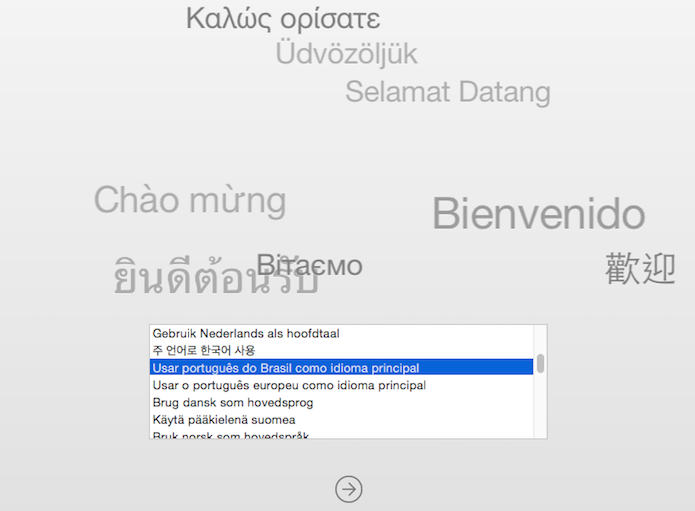 Escolha o idioma de instalação do OS X Yosemite (Foto: Reprodução/Helito Bijora)