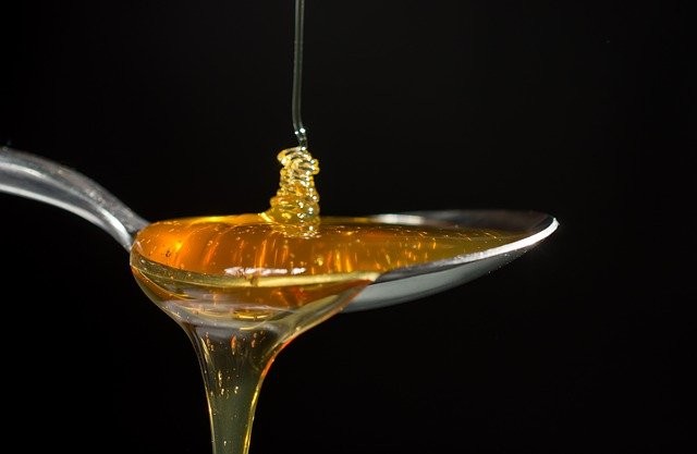 O mel extraído dessa flor é útil em várias doenças, incluindo doenças da mucosa e da pele (Foto: Pixabay/ maxknoxvill/ CreativeCommons)