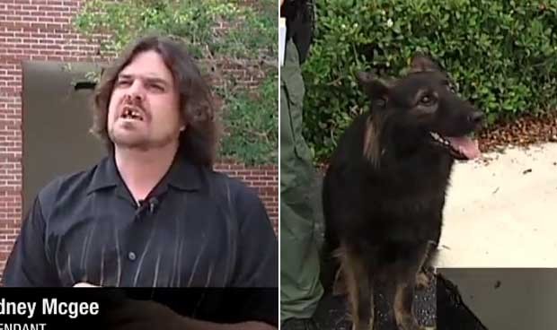 Rodney McGee 'intimou' um cão policial para depor como sua testemunha de defesa.  (Foto: Reprodução)