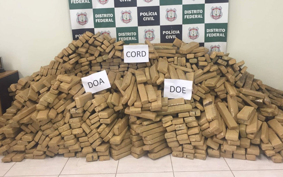 Montanha de drogas apreendida pela Polícia Civil (Foto: Jéssica Nascimento/G1)