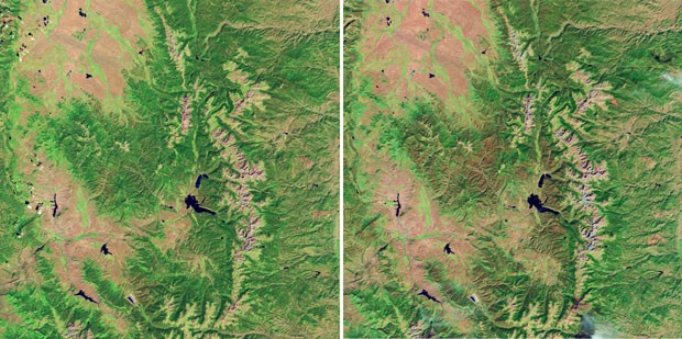 Imagem à esquerda, mais verde, de 2005, e, à direita, de 2011, após o ataque dos besouros. (Foto: Nasa/Divulgação)