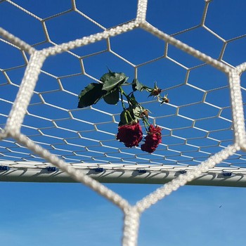 Rosa Arena Condá Arena Chapecoense (Foto: Janir Júnior)