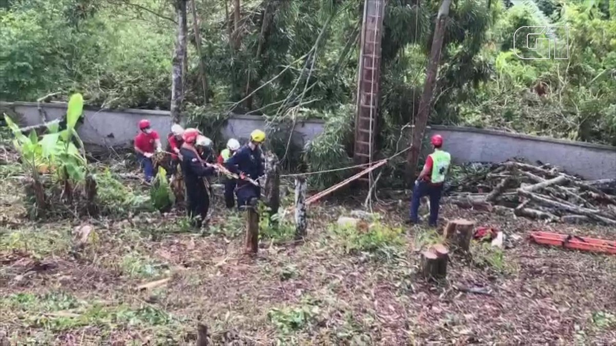 Homem Fica Ferido E Pendurado Em Rvore Ao Tentar Pod La E Resgate