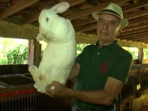 Coelhos gigantes de até 9 kg são criados em Marataízes, ES (Foto: Reprodução/ TV Gazeta)